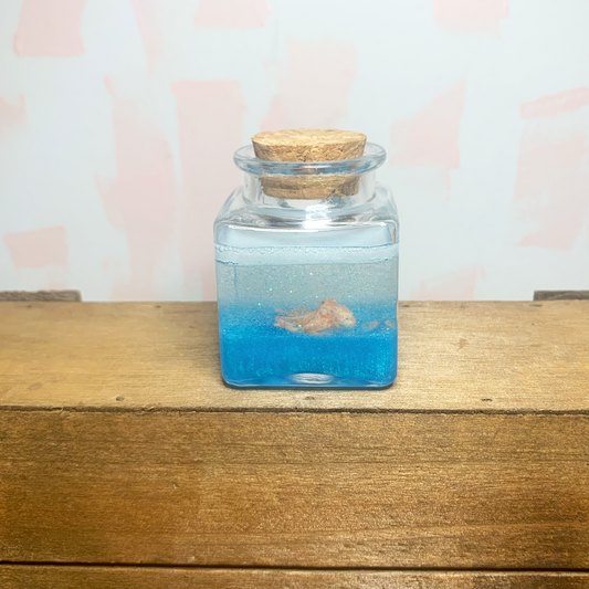 Mini Terrarium - Sir Octopus 🐙