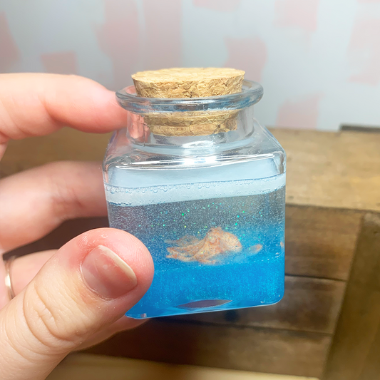 Mini Terrarium - Sir Octopus 🐙